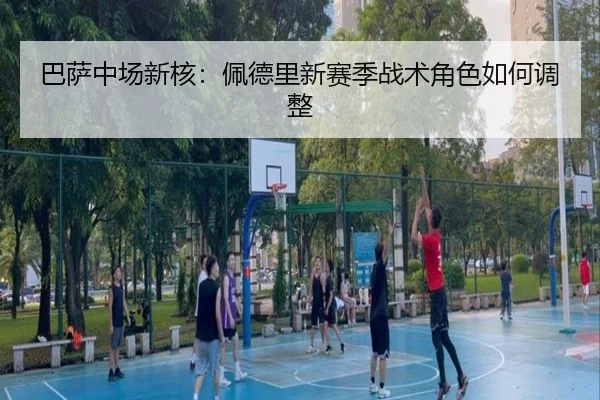 巴萨中场新核：佩德里新赛季战术角色如何调整 | www.ayx.com